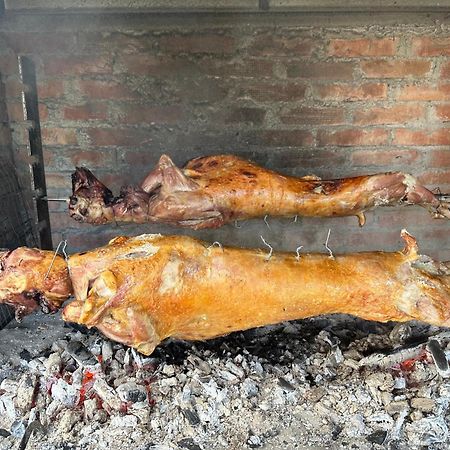 Vila Disha Tiranë Luaran gambar