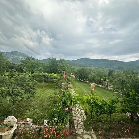 Vila Disha Tiranë Luaran gambar