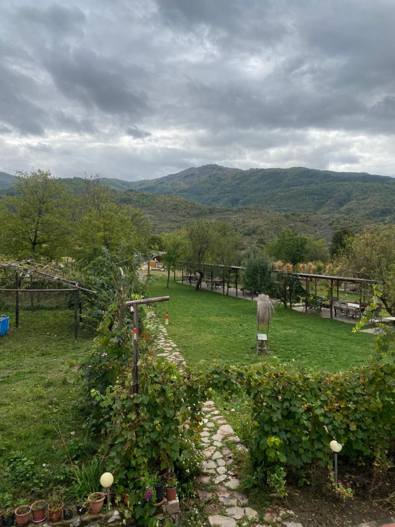 Vila Disha Tiranë Luaran gambar