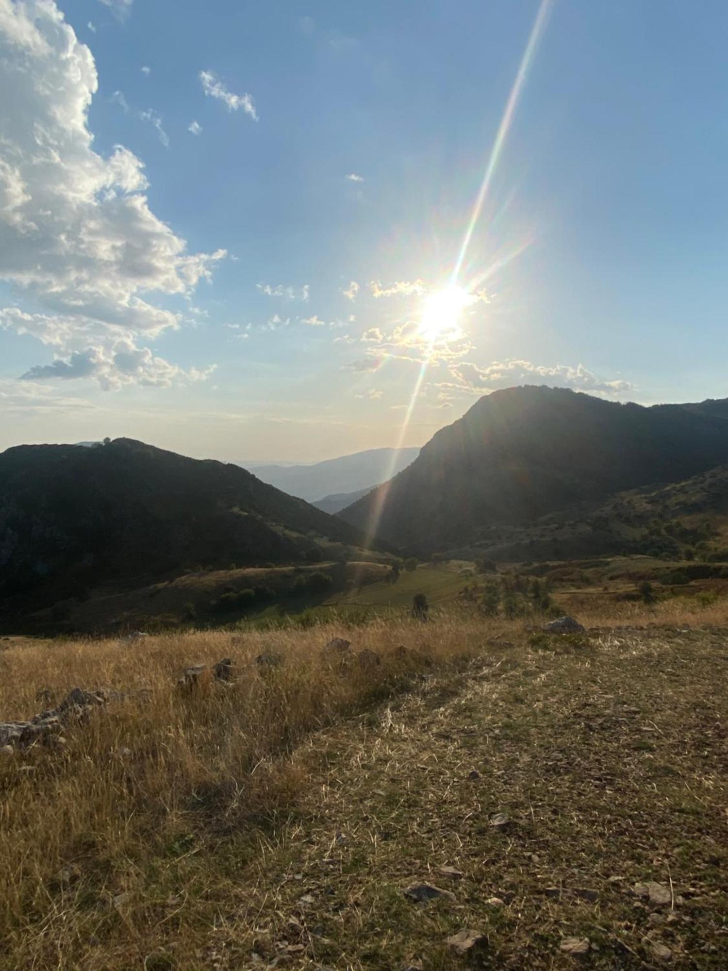 Vila Disha Tiranë Luaran gambar