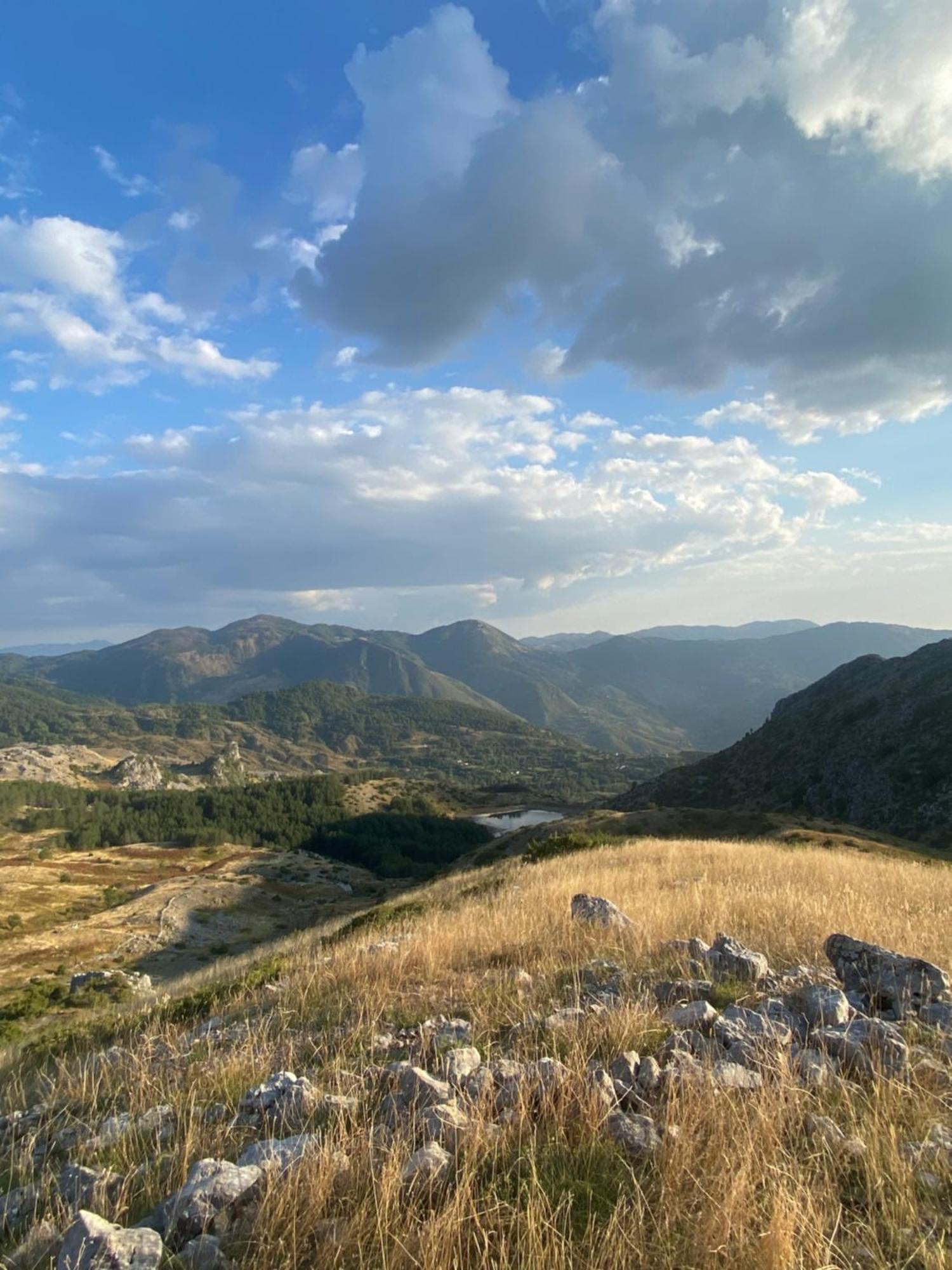 Vila Disha Tiranë Luaran gambar