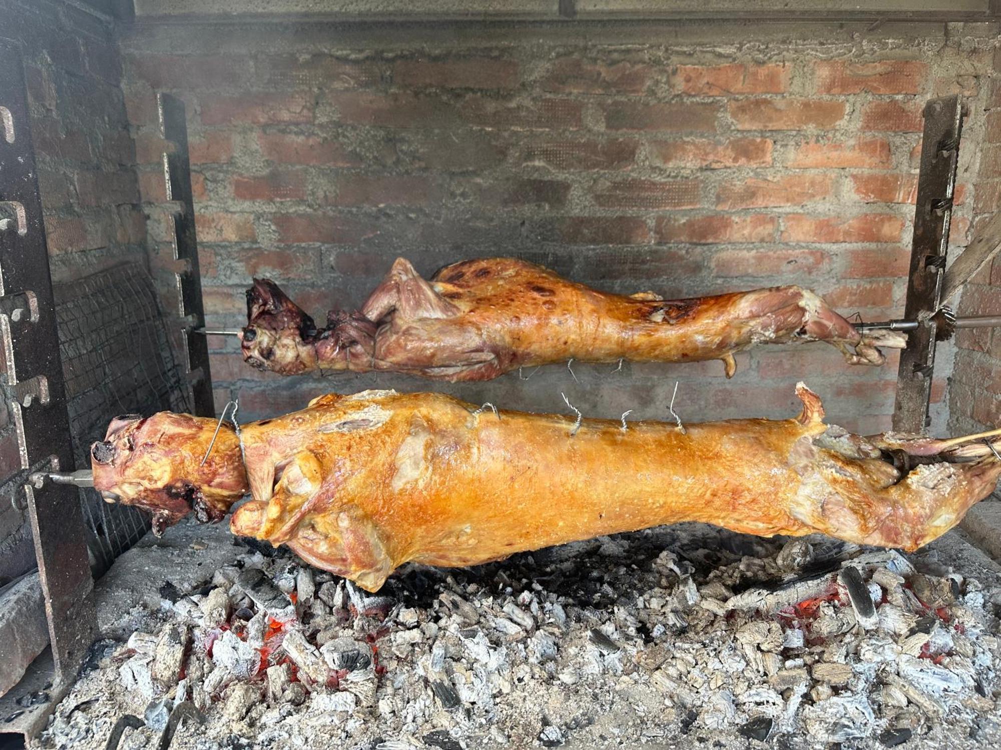 Vila Disha Tiranë Luaran gambar