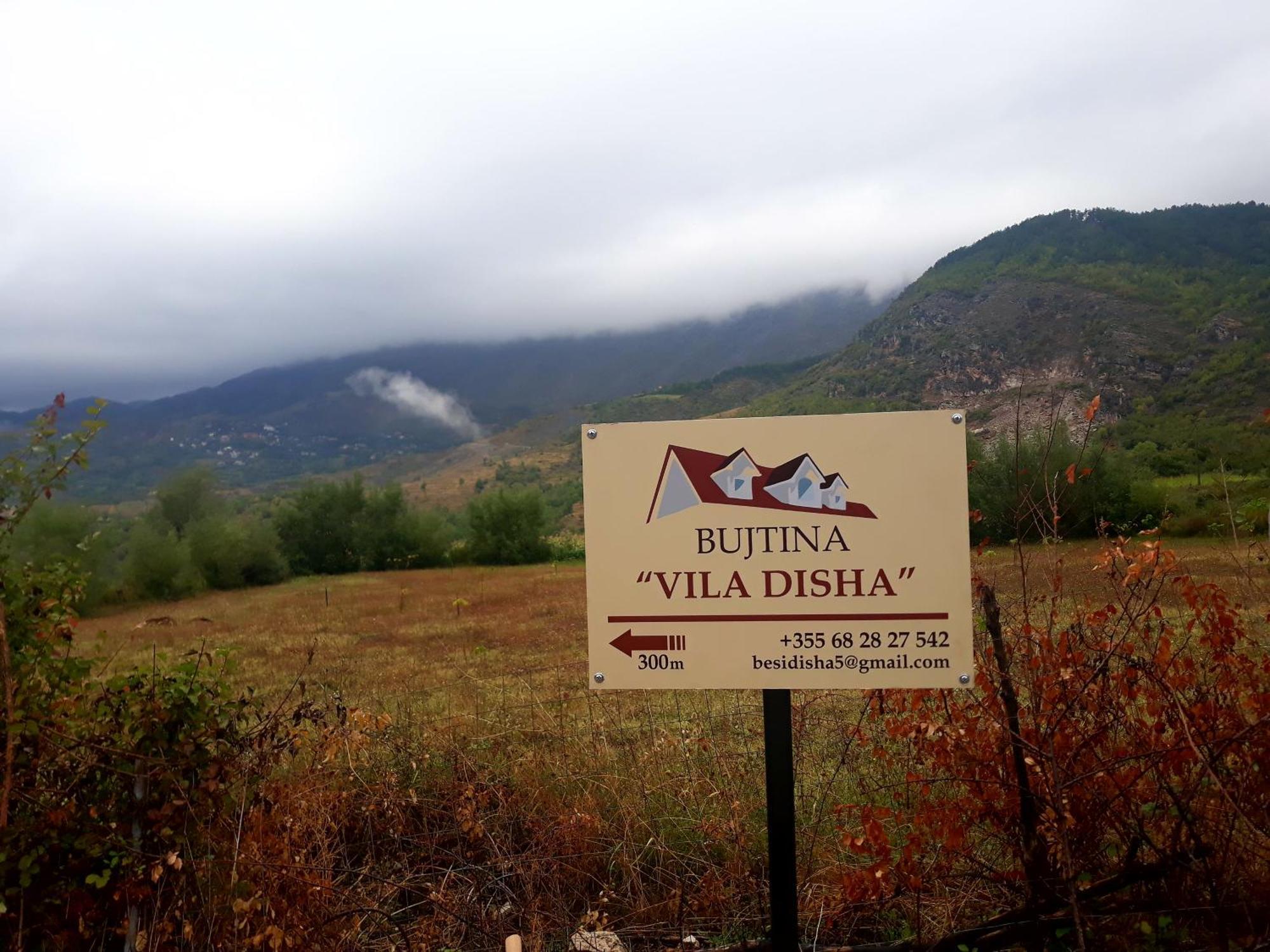 Vila Disha Tiranë Bilik gambar