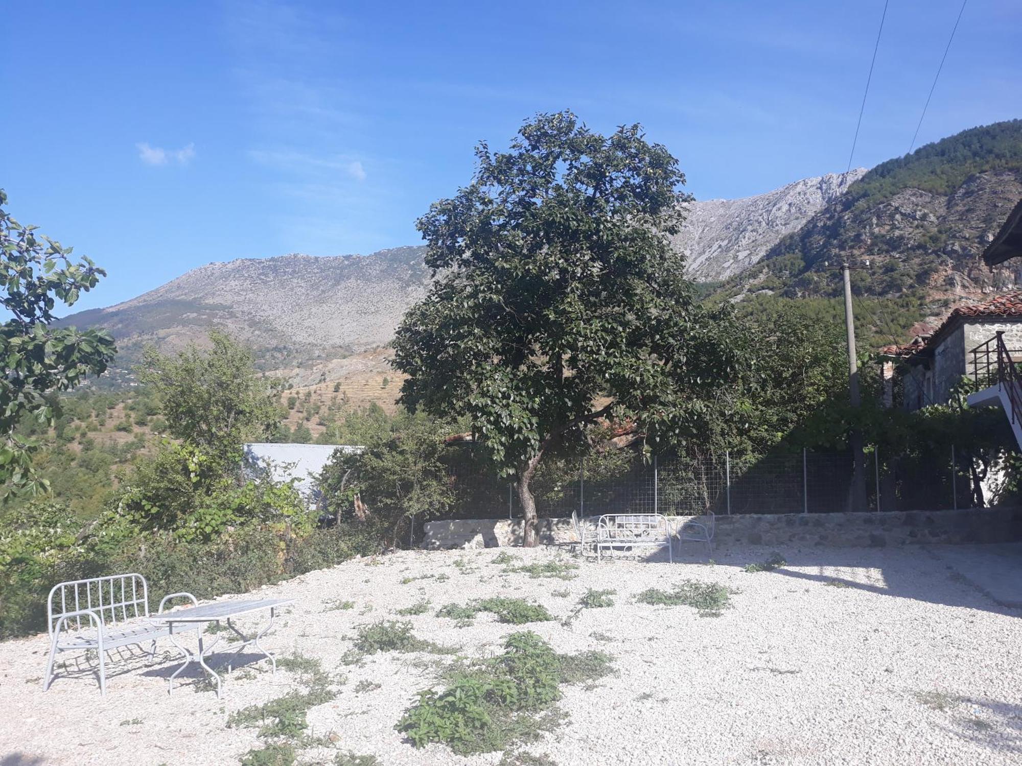 Vila Disha Tiranë Bilik gambar