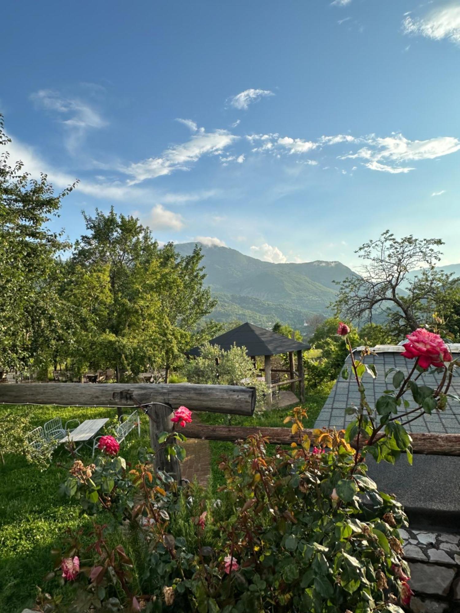 Vila Disha Tiranë Luaran gambar