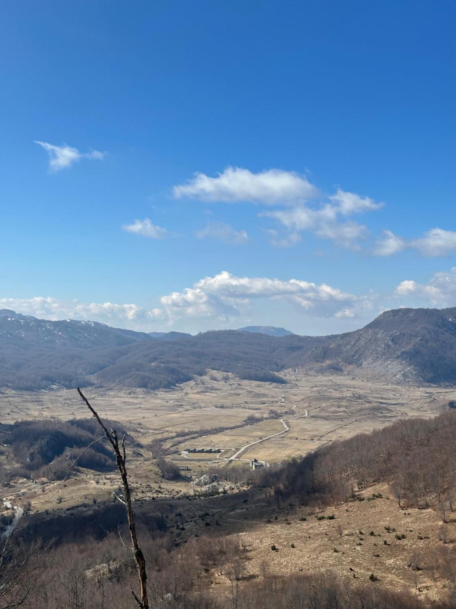 Vila Disha Tiranë Luaran gambar