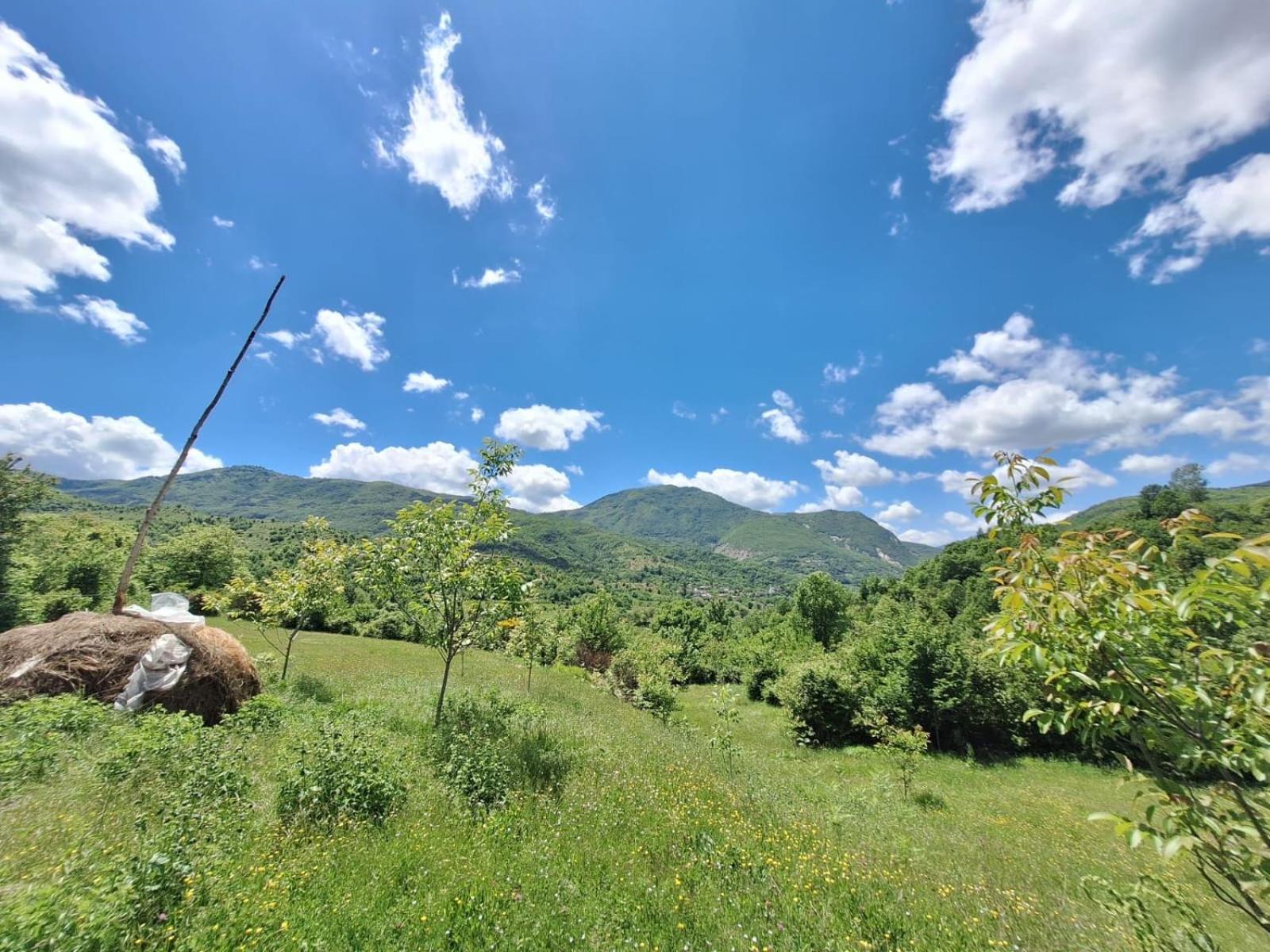 Vila Disha Tiranë Luaran gambar
